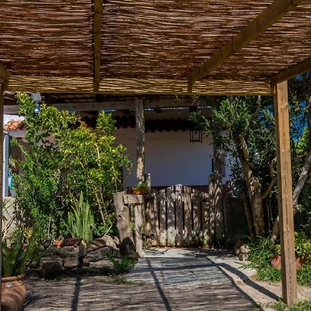 La Casa De Los Algarbes Tarifa Ngoại thất bức ảnh